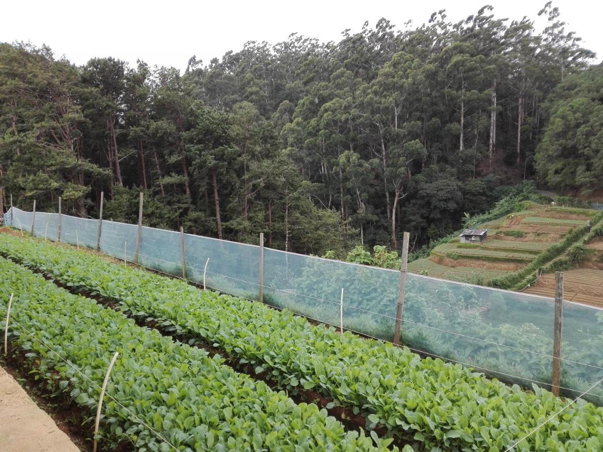 Keshiya Holiday Home Nuwara Eliya Zewnętrze zdjęcie