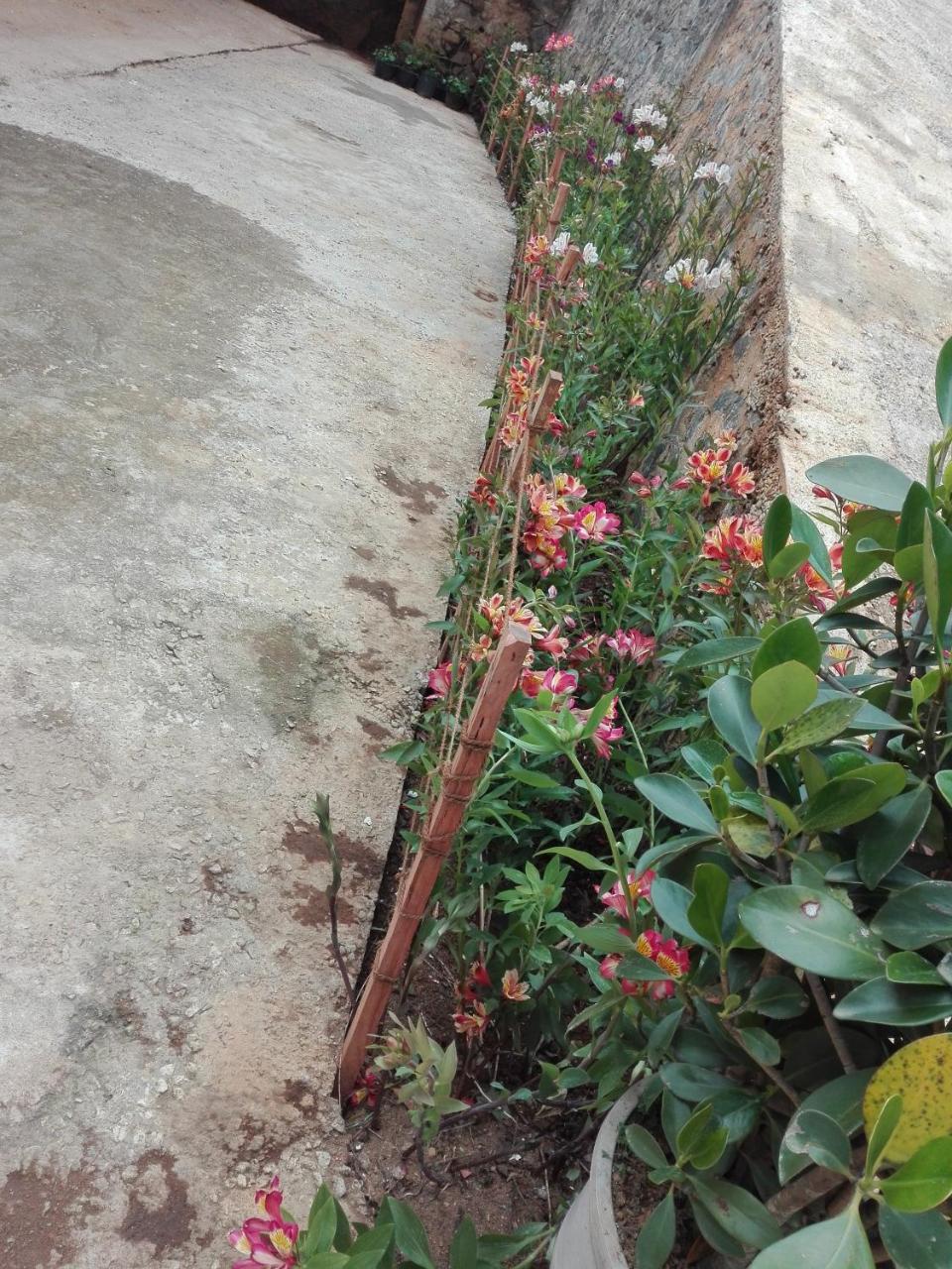 Keshiya Holiday Home Nuwara Eliya Zewnętrze zdjęcie